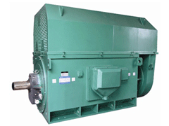 YR4501-4YKK系列高压电机