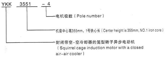 YKK系列(H355-1000)高压YR4501-4三相异步电机西安泰富西玛电机型号说明