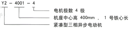 YR系列(H355-1000)高压YR4501-4三相异步电机西安西玛电机型号说明